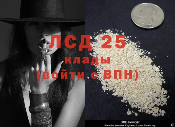 спайс Алексин