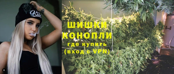 спайс Алексин