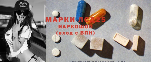 spice Алзамай