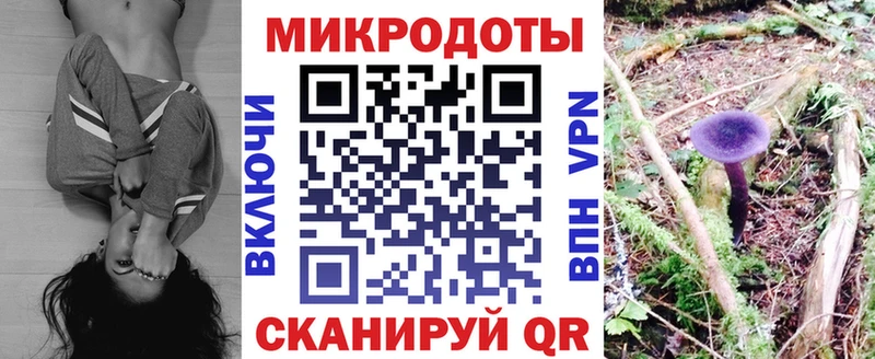 Галлюциногенные грибы GOLDEN TEACHER  KRAKEN   Большой Камень  продажа наркотиков 
